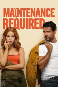 Read more about the article Maintenance Required (2025)