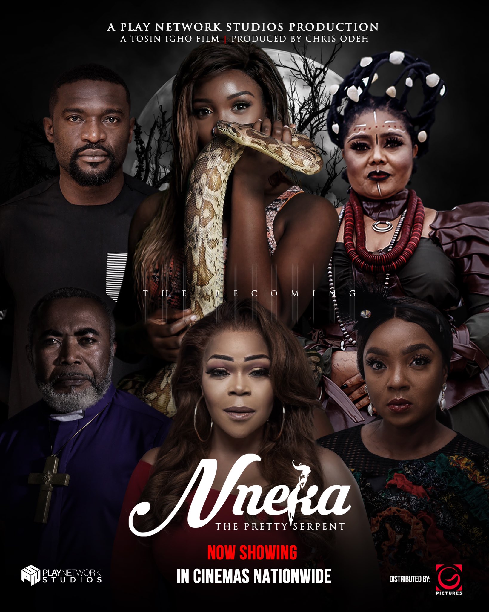 You are currently viewing Nneka the Pretty Serpent (2020)