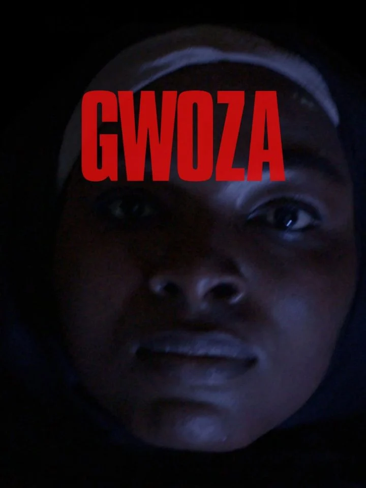 You are currently viewing Gwoza (2025) – Nollywood Movie Free Download